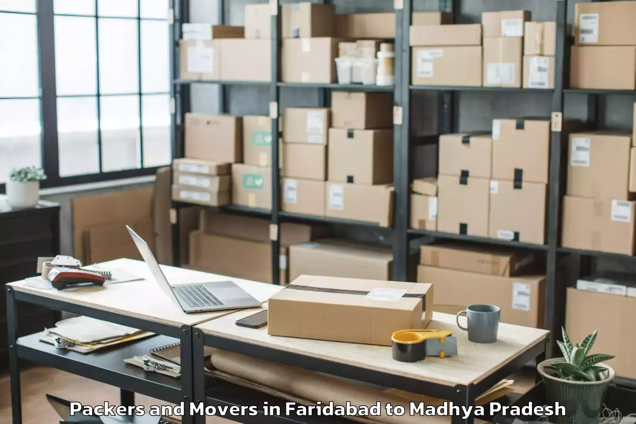 Professional Faridabad to Kundam Packers And Movers